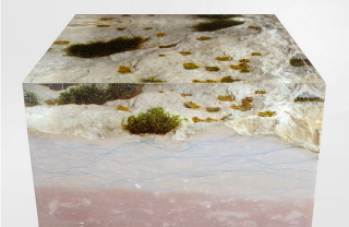 Illustration for article titled The Natural Moss on This Wooden Bookcase Is Preserved Forever in Resin